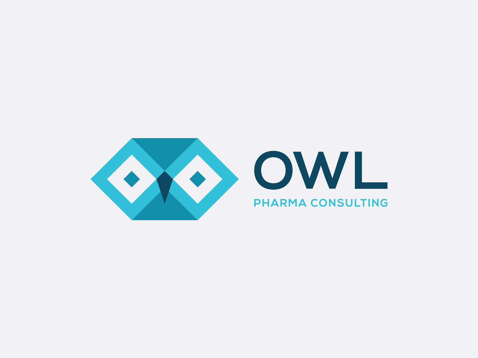 owl-1