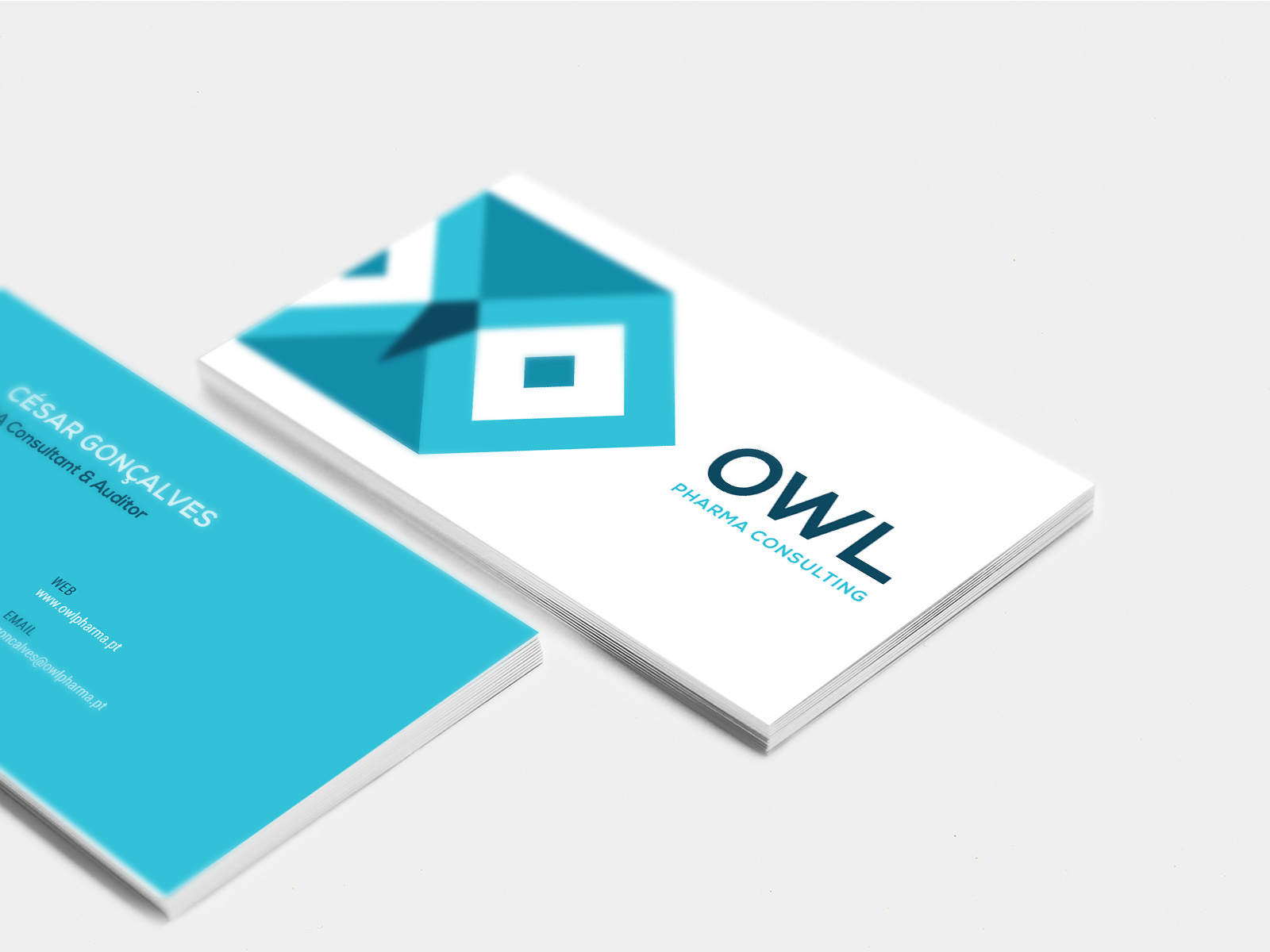 owl-2